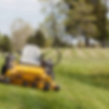5 Garden Care Basics