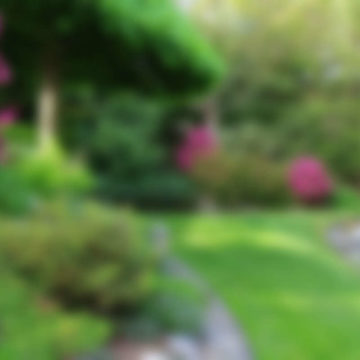 Easy Ways To Improve Your Lawn